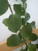 DSC01494.webp