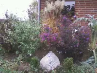 Foto-0305.webp
