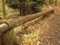 Rustikal.webp