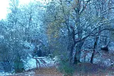 2012_1029Herbst0047 landsch.webp