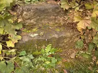 Treppe.webp