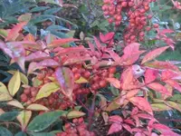 Bild 2262.webp