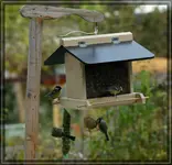 comp_DSC00920.webp