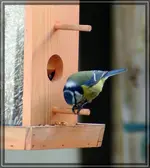 comp_DSC00844.webp