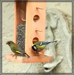 comp_DSC00916.webp