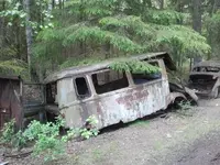 rosenbeet oldie.webp rosenbeet oldie.webp