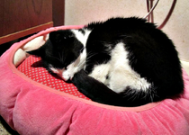 eines der letzten Bilder v.webp