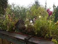BILD1856.webp
