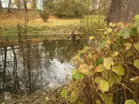 Wur-.webp