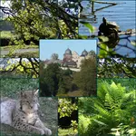 Herbstfreuden%20im%20Tierpark%20Sababurg.webp