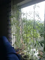2012-11-04 13.18.44k.webp