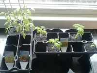 2012-11-04 13.34.36k.webp