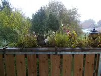 BILD1855.webp