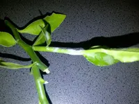 IMG-20121105-00027.webp