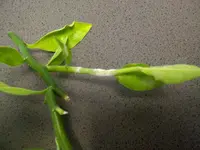 IMG-20121105-00028.webp