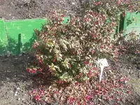 2012-11-03 10.28.19.webp