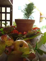 DSC07553.webp