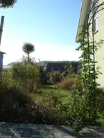 DSC07530.webp