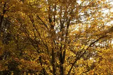 IMG_9704.webp