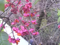 BILD0001.webp