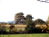 _mit Windmuehle.webp