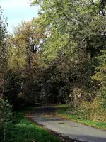 _Strasse in die Feldmark.webp