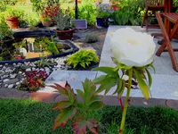 SDC12512.webp