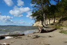 P1070326.webp