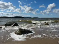 P1070327.webp