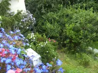 BILD1655.webp