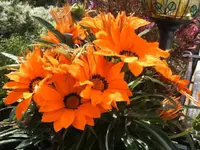 BILD1802.webp
