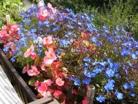 BILD1803.webp