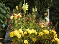 BILD1804.webp