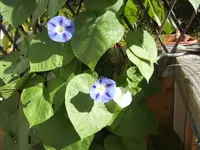 BILD1790.webp