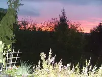 BILD1847.webp