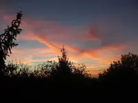 BILD1850.webp