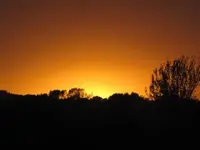 Bild 732.webp