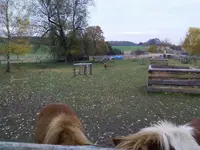 Ponywiese2Nov12.webp