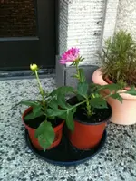 Foto.webp