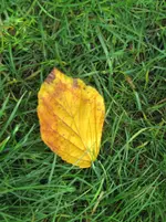Bild 1822.webp
