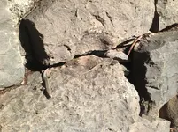 Madeira-IPad 1238.webp