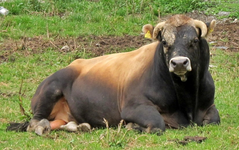 Copy (3) of IMG_4496v.webp