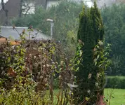 comp_DSC01026.webp