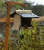 comp_DSC01020.webp