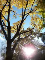 11.11.12 007.webp