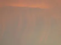 P1000461.webp