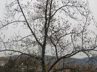Bild 2415.webp