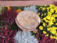 Bild 2397.webp