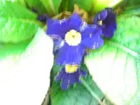 CIMG9536.webp