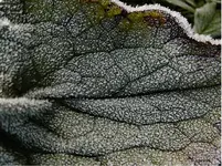 Unbenannt.webp